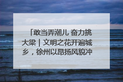 敢当弄潮儿 奋力挑大梁｜文明之花开遍城乡，徐州以昂扬风貌冲刺“万亿之城”