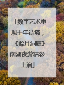 数字艺术重现千年诗境，《赊月洞庭》南湖夜游精彩上演