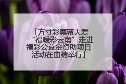 方寸彩票聚大爱 “福暖彩云南”走进福彩公益金资助项目活动在曲靖举行