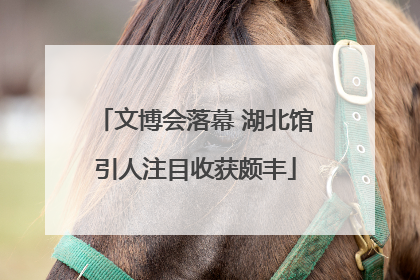 文博会落幕 湖北馆引人注目收获颇丰