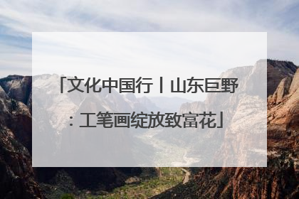 文化中国行丨山东巨野：工笔画绽放致富花
