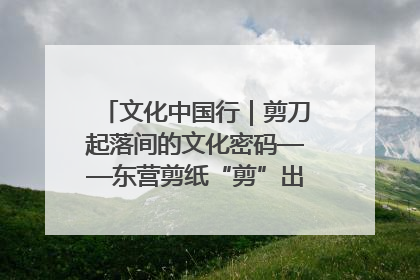 文化中国行｜剪刀起落间的文化密码——东营剪纸“剪”出非遗传承与现代生活的融合之道