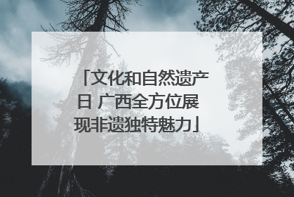 文化和自然遗产日 广西全方位展现非遗独特魅力