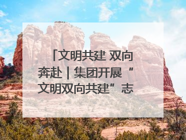 文明共建 双向奔赴｜集团开展“文明双向共建”志愿服务活动