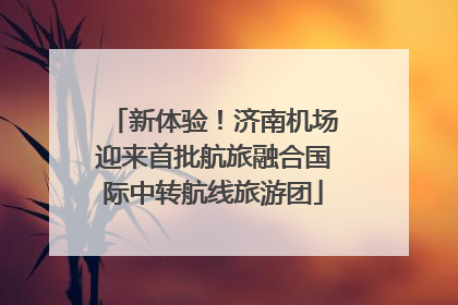 新体验！济南机场迎来首批航旅融合国际中转航线旅游团