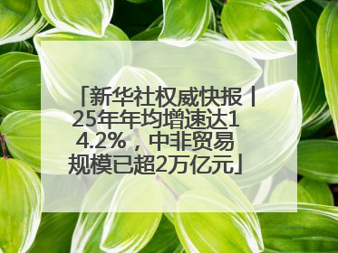 新华社权威快报丨25年年均增速达14.2%，中非贸易规模已超2万亿元