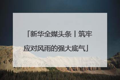 新华全媒头条丨筑牢应对风雨的强大底气