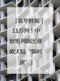 新华鲜报｜11万列！中欧班列跑出亚欧大陆“新时速”
