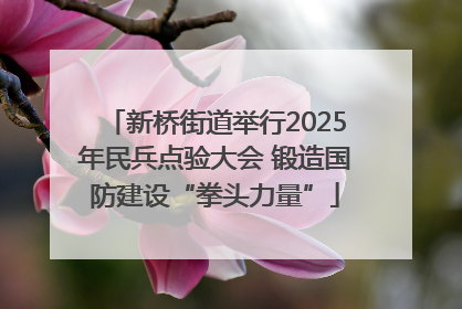新桥街道举行2025年民兵点验大会 锻造国防建设“拳头力量”