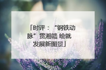 时评：“钢铁动脉”贯湘赣 绘就发展新图景