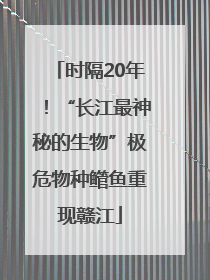 时隔20年！“长江最神秘的生物”极危物种鳤鱼重现赣江