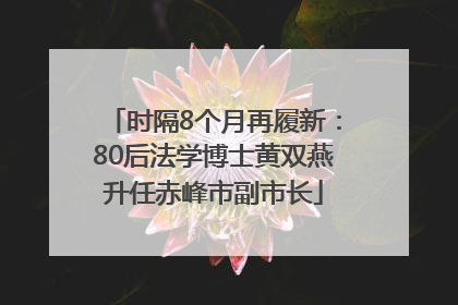 时隔8个月再履新：80后法学博士黄双燕升任赤峰市副市长