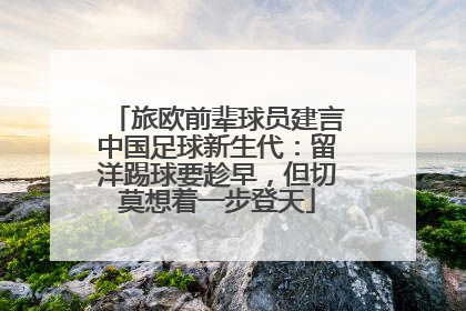 旅欧前辈球员建言中国足球新生代：留洋踢球要趁早，但切莫想着一步登天