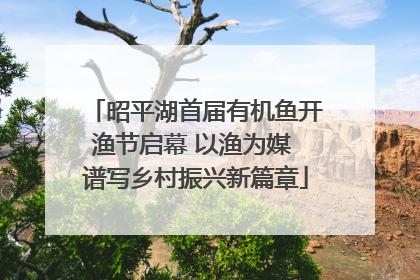 昭平湖首届有机鱼开渔节启幕 以渔为媒 谱写乡村振兴新篇章
