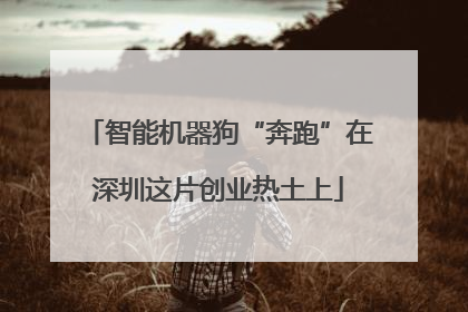 智能机器狗“奔跑”在深圳这片创业热土上