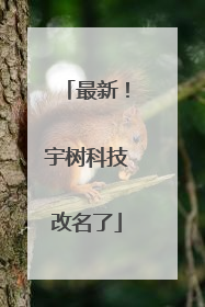 最新！宇树科技改名了