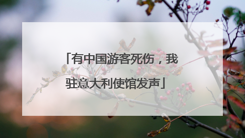 有中国游客死伤，我驻意大利使馆发声