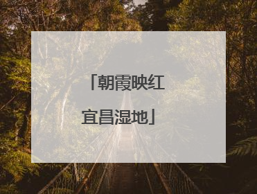 朝霞映红宜昌湿地