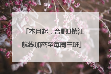 本月起，合肥⇋镇江航线加密至每周三班