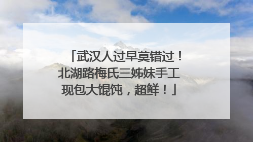 武汉人过早莫错过！北湖路梅氏三姊妹手工现包大馄饨，超鲜！