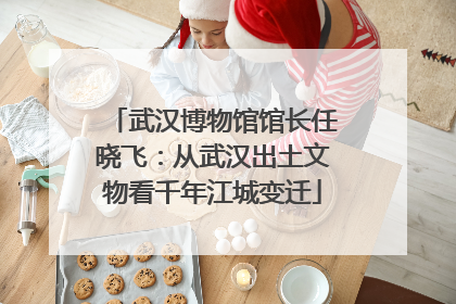 武汉博物馆馆长任晓飞：从武汉出土文物看千年江城变迁