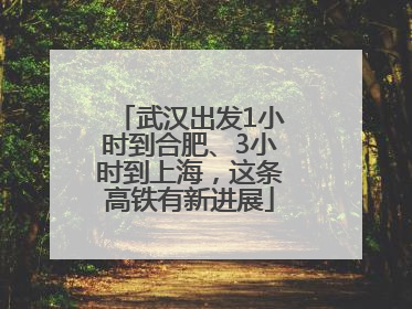 武汉出发1小时到合肥、3小时到上海，这条高铁有新进展