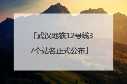 武汉地铁12号线37个站名正式公布