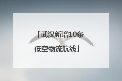 武汉新增10条低空物流航线