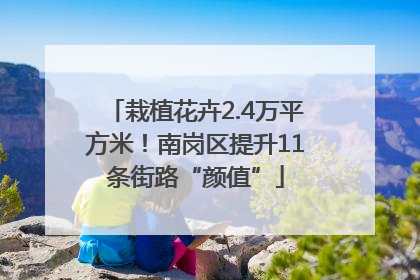 栽植花卉2.4万平方米！南岗区提升11条街路“颜值”