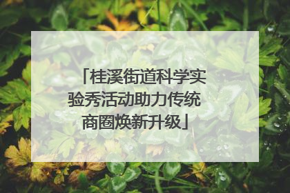 桂溪街道科学实验秀活动助力传统商圈焕新升级