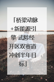 桥梁动脉+新能源引擎 武陟经开区双赛道冲刺半年目标