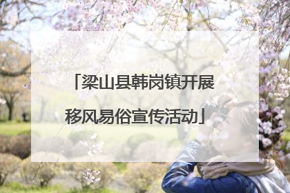 梁山县韩岗镇开展移风易俗宣传活动