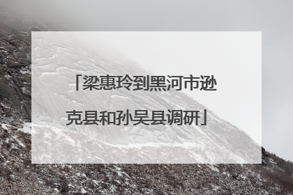 梁惠玲到黑河市逊克县和孙吴县调研