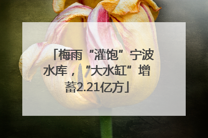 梅雨“灌饱”宁波水库，“大水缸”增蓄2.21亿方