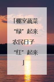 棚室蔬菜“绿”起来 农民日子“红”起来
