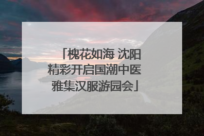 槐花如海 沈阳精彩开启国潮中医雅集汉服游园会