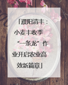 濮阳清丰：小麦丰收季 “一条龙”作业开启农业高效新篇章