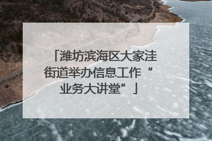 潍坊滨海区大家洼街道举办信息工作“业务大讲堂”