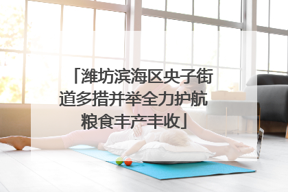 潍坊滨海区央子街道多措并举全力护航粮食丰产丰收