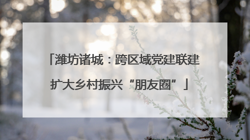 潍坊诸城：跨区域党建联建 扩大乡村振兴“朋友圈”