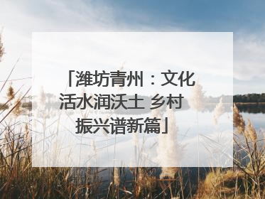潍坊青州：文化活水润沃土 乡村振兴谱新篇