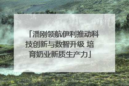 潘刚领航伊利推动科技创新与数智升级 培育奶业新质生产力