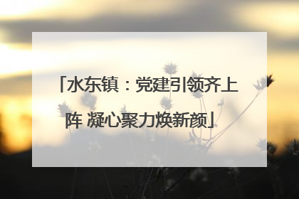 水东镇：党建引领齐上阵 凝心聚力焕新颜
