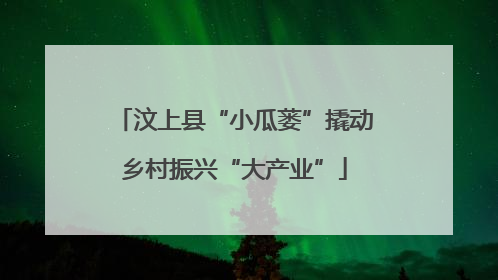 汶上县“小瓜蒌”撬动乡村振兴“大产业”