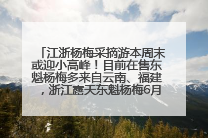 江浙杨梅采摘游本周末或迎小高峰！目前在售东魁杨梅多来自云南、福建，浙江露天东魁杨梅6月中旬大量上市