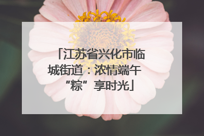 江苏省兴化市临城街道：浓情端午 “粽”享时光