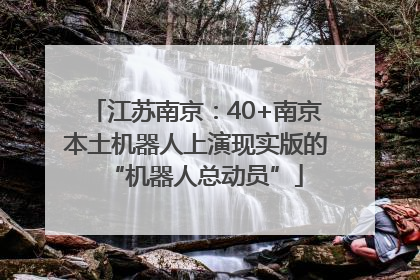 江苏南京：40+南京本土机器人上演现实版的“机器人总动员”