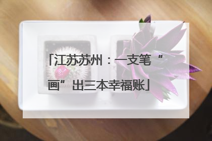江苏苏州：一支笔“画”出三本幸福账