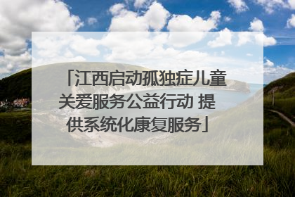 江西启动孤独症儿童关爱服务公益行动 提供系统化康复服务