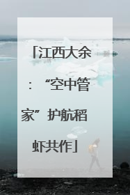 江西大余：“空中管家”护航稻虾共作